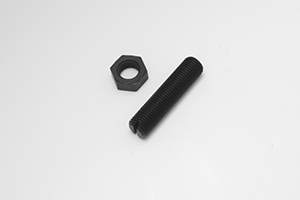 %_tempFileNameColony%20image%20%20T%20%20DSC_0077%