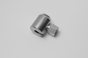 %_tempFileNameColony%20image%20D%20DSC_0036%