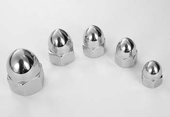 OEM_Acorn_loose
